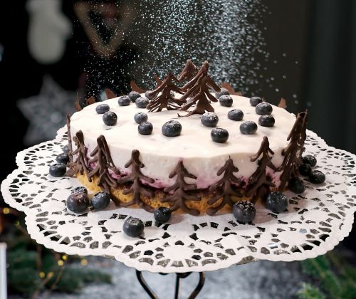 Heidelbeer-Joghurt-Torte